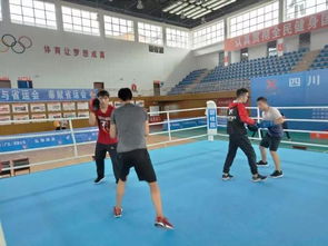 勇敢者的运动 四川省第十三届运动会拳击比赛在昭化热血开赛