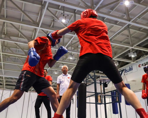 2020年东京奥运会拳击比赛 赛事组织与特色