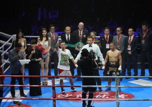 苏州拳坛激情绽放 向静成功卫冕，中国职业拳击新年启航