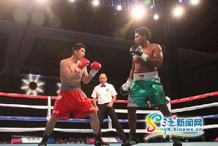 2015世界拳击联赛三亚落幕 中国龙不敌墨西哥勇士，拳击赛事组织迎发展契机