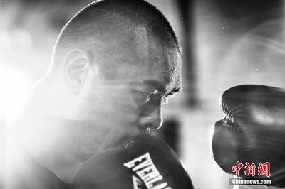 张志磊 中国拳手如何在美国职业拳坛打出一片天？