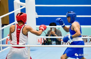 忻州圆满承办青运会拳击赛事 展现拳击运动组织新风貌