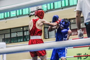 青春拳力，暖心守护——省运会青少年部拳击赛事组织与贴心服务纪实