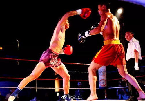 盘点世纪初散打泰拳4次团战，现代散打是否该向传统武术取点经