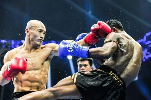 拳坛铁汉 38年禁欲泰拳王与意外的心理考验