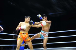 ff联赛首站圆满落幕，铁血少侠tkok 1勇夺桂冠